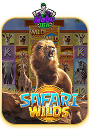 safari wilds